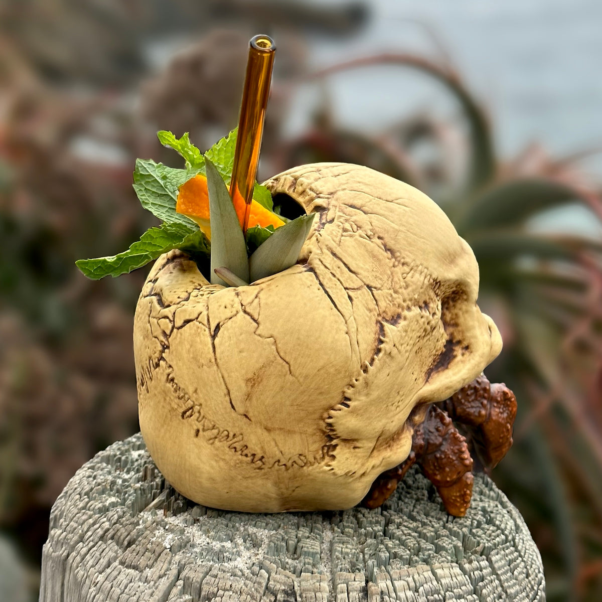 Hermit's Trophy - Ceramic Tiki Mug – Tikiland Trading Co.