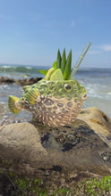 2026.03.29 PRODUCT Losts Petrified Puffer Reef Jade Ceramic Tiki Mug — Instagram DWfTiy0jVW9