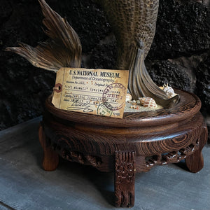 Thor’s ‘Barnum's Fiji Mermaid’ Original Sculpture - One of a Kind